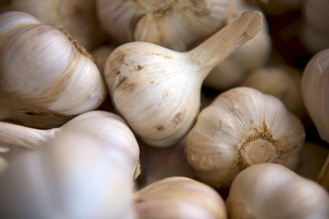Garlic Shortage 2026: Causes, Impact, and Market Outlook Garlic Shortage